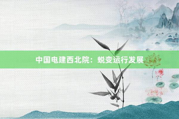 中国电建西北院：蜕变运行发展