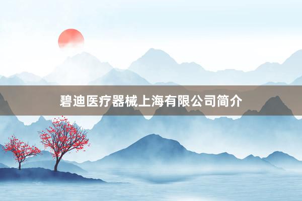 碧迪医疗器械上海有限公司简介